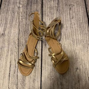 Lane Bryant  gladiator sandals